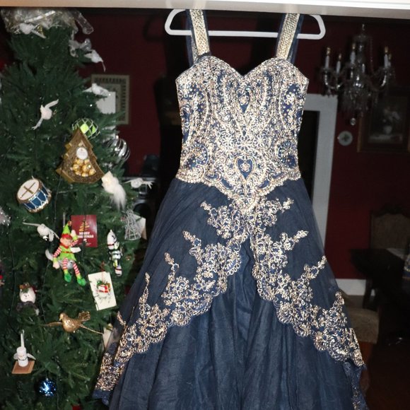 QUINCEANERA DRESS (PLUS DOLL, BOUQUET,  PHOTO ALBUM, HAIR PIN) - Picture 3 of 13